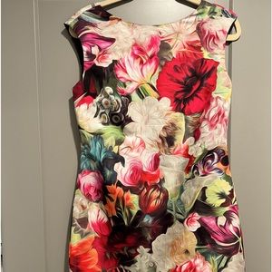 Ted Baker woman’s sheath dress